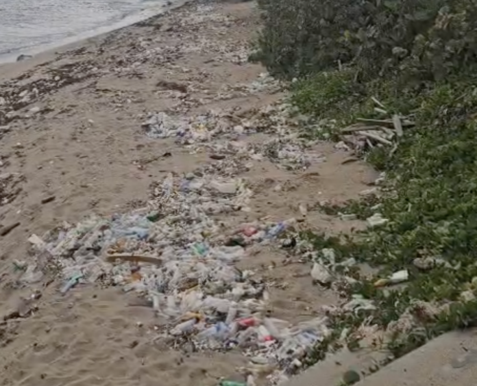 Marea de plásticos en Santo Domingo amenaza playa de anidación de tortugas marinas