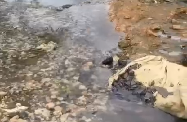 Aguas residuales son un residente más en Los Rielitos Abajo de Villa Linda, SFM