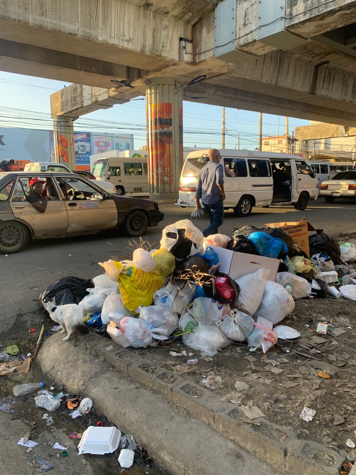 Crisis sanitaria en Villa Mella: Acumulación de basura tras retiro de contenedores por la alcaldía