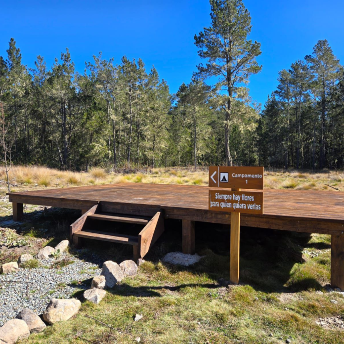 Ministerio de Medio Ambiente entrega el Jardín del Edén a empresa privada y cobrarán por acampar