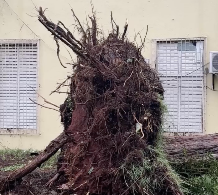 Reportan daños en la UASD tras fuertes ráfagas de viento y lluvias