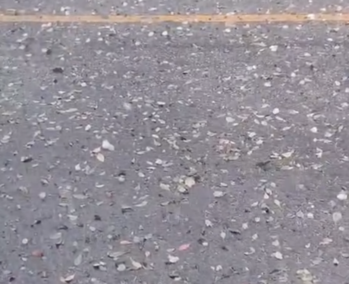 Conductores reportan »caída de hielo» en plena vía pública ante fuerte inestabilidad climática