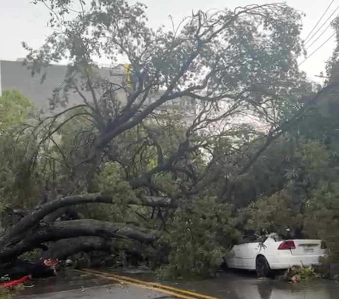 Reportan caída de parte de la estructura metálica en Malecón Center tras fuertes ráfagas de viento
