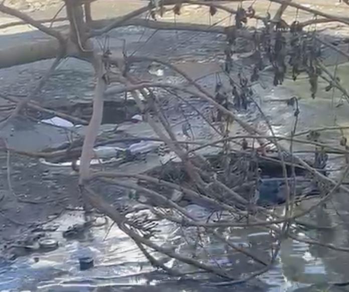 Reportan estancamiento de agua por drenaje obstruido en El Almirante