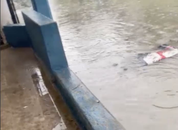 Denuncian persistencia de inundaciones en calle de Andrés, Boca Chica
