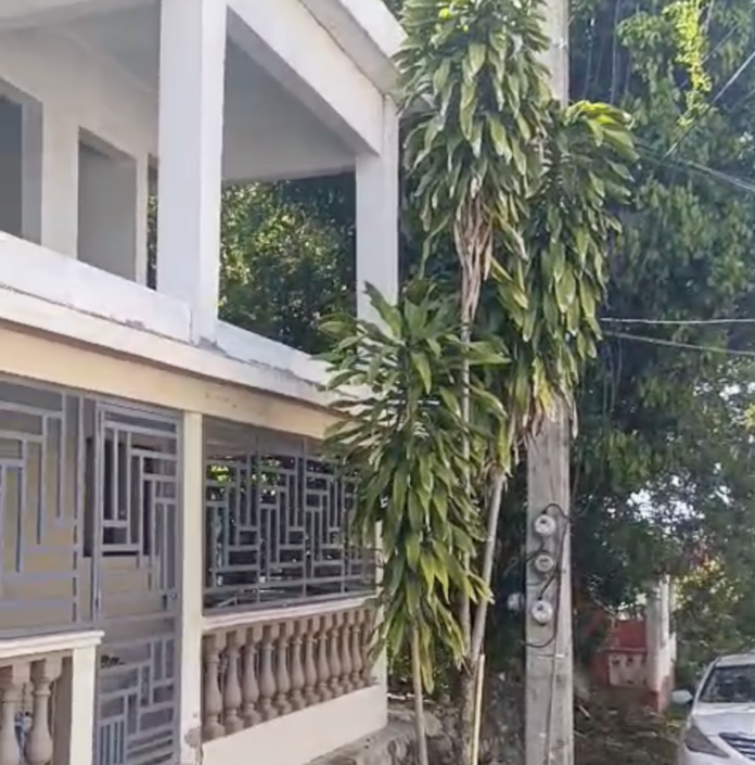 Residentes denuncian peligro eléctrico por árbol que hace contacto con alta tensión