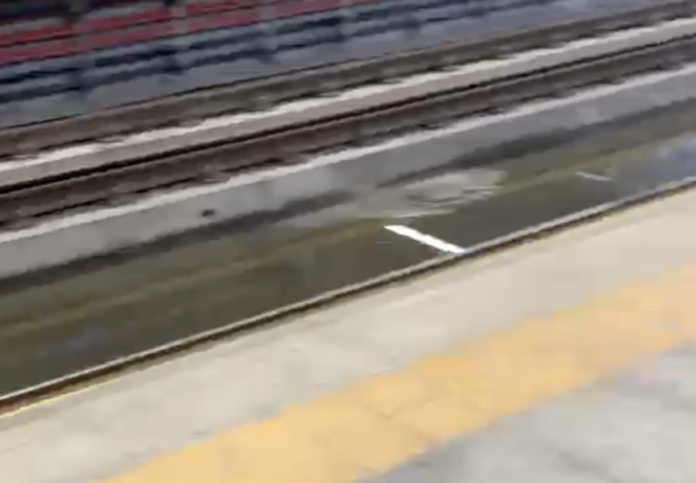 Carriles del Metro en el km 13 presentan gran cantidad de agua