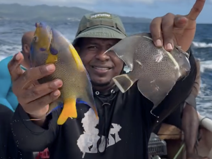 Capturan pez loro en flagrante violación a la veda permanente en el Mar Caribe