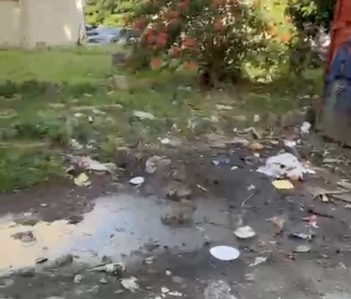 Deterioro vial y cúmulo de basura afectan edificios en Invivienda