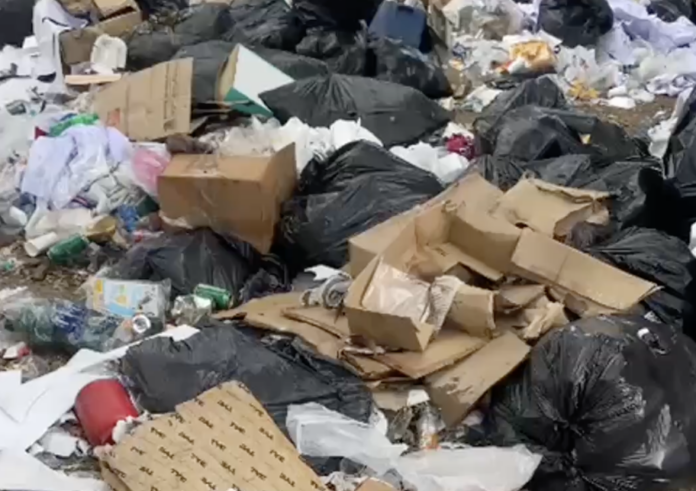 Denuncian estado de abandono y acumulación de vehículos en complejo del Estadio Quisqueya