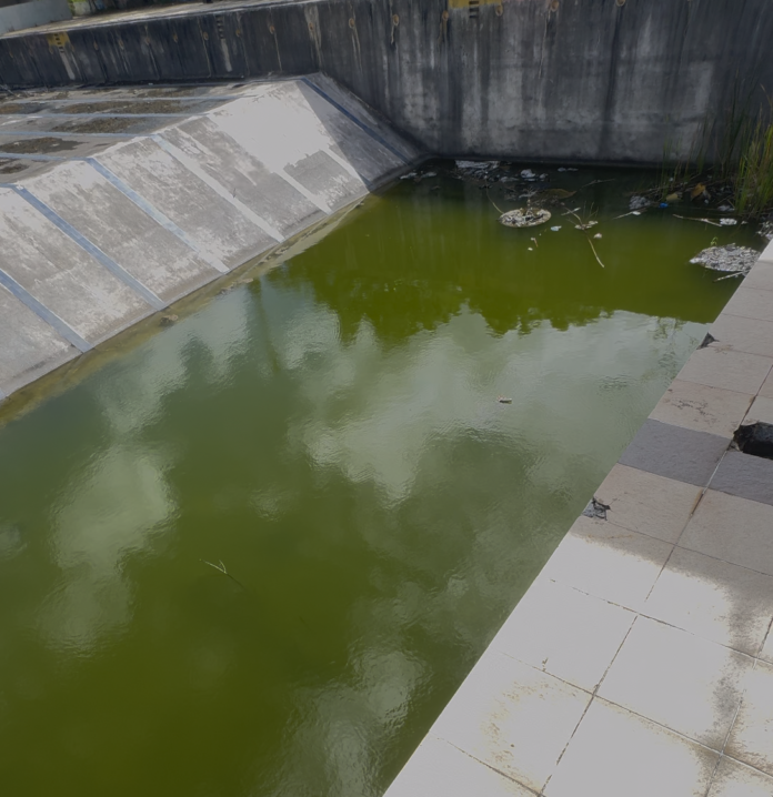 Denuncian estado de abandono y focos de contaminación en piscina olímpica de La Romana