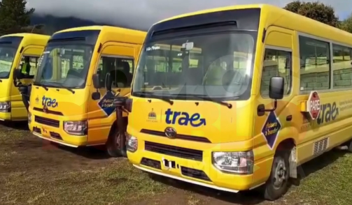 Robo de baterías a autobuses escolares en Constanza afecta a más de 500 estudiantes
