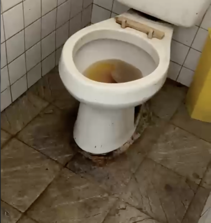Denuncian avanzado deterioro e insalubridad en la Escuela Padre Fantino del Santo Cerro en La Vega